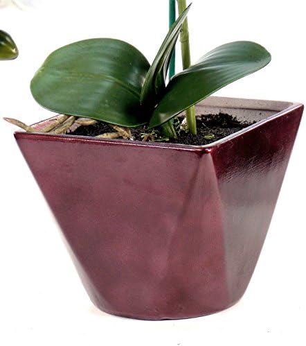 orchids world Silk Orchid Flower Arrangement Home Decor Artificial Potted Plant