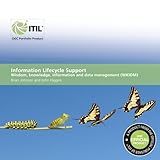 Information lifecycle support : wisdom, knowledge, information and data management (WKIDM)