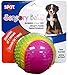 Ethical Pets Sensory Ball Dog Toy, 3.25