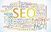 Search Engine Optimization Poster - 24"W x 15"H - Peel and Stick Wall Decal by Wallmonkeys