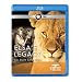 Nature: Elsa's Legacy: The Born Free Story [Blu-ray] [Import]