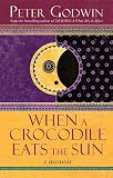 When a Crocodile Eats the Sun: A Memoir of Africa