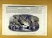 1847 Siege Gibraltar Surrey Zoological Gardens Print