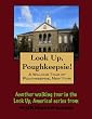 A Walking Tour of Poughkeepsie, New York (Look Up, America!)