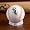 Chicago White Sox