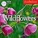 Audubon Wildflowers 2015 Calendar: Includes a 4-Month Grid Sept. to Dec. 2014