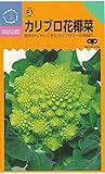 【種子】カリブロ花椰菜（はなやさい） 小袋