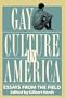 Gay Culture In America: Essays From the Field