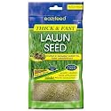 Chatsworth 150g Lawn Seed Grass Seed