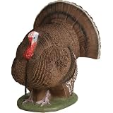 Delta Full Strut Turkey 3D Target
