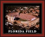 Large Griffin Stadium Florida Gators Aerial Framed Print - Cherry No Mat