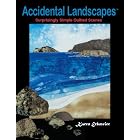 Accidental Landscapes by Karen Eckmeier
