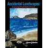 Accidental Landscapes