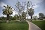Michael S. Wolfson Park in Palm Springs, California - 16"x20" - Fine-Art Gicl??e Photographic Print by Carol M. Highsmith