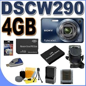 Sony Cybershot DSC-W290 12.1MP Digital Camera w/ 5x Optical Zoom and Super Steady Shot Image Stabilization (Blue) 4GB BigVALUEInc Accessory Saver NPBG1 Battery/Rapid Charger Bundle + MORE