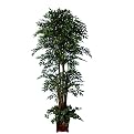 Wooden Potted Smylax 3528L Faux Tree- 7'