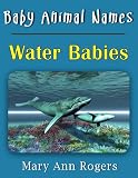 Baby Animal Names: Water Babies (What Am I Series)
