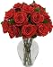 One Dozen Long Stem Red Roses with Jordan Vase