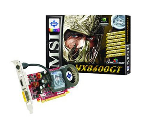 Childrens Toyshop  Computer : MSI 256MB 8600GT-MTD256E HDMI PCIe
