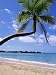 Les Salines Beach, Near Sainte Anne, Martinique, Lesser Antilles Photographic Poster Print by Yadid Levy, 12x16
