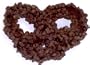 Scott's Cakes Dark Chocolate Covered Pretzels with Chocolate Chips in a 1/2 lb. Holly Box