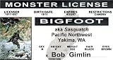Big Foot - BigFoot - Sasquatch - Collector Card - big foot