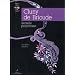 Cluny de Brioude : Dentelle polychrome