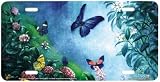 Butterflies in the Mist - Butterfly Art Print - License Plate Car Tag by Tom Dubois from Airstrike