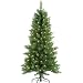 Charleston Tree Green