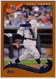 2002 Topps Baseball Detroit Tigers Team Set