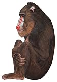 Walls of the Wild Baboon