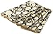 Rose Tree Florentine II Set of 6 Napkins, Black