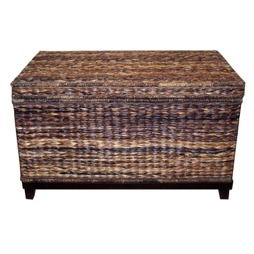 Castela Trunk