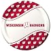 Wisconsin Badgers - Dinner Plates (8) Party Supplies
