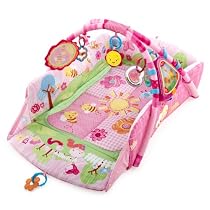 Big Sale Bright Starts 5-in-1 Garden Fun Baby's Play Place Deluxe Edition, Pretty in Pink