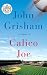 Calico Joe (Random House Large Print) [Paperback]