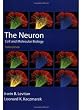 The Neuron: Cell and Molecular Biology