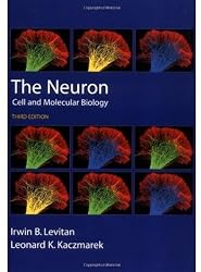 The Neuron: Cell and Molecular Biology