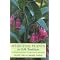 herb and plant lore