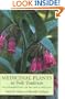 Medicinal Plants in Folk Tradition: An Ethnobotany of Britain & Ireland
