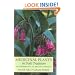 Medicinal Plants in Folk Tradition: An Ethnobotany of Britain & Ireland