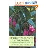Medicinal Plants in Folk Tradition: An Ethnobotany of Britain & Ireland