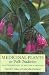 Medicinal Plants in Folk Tradition: An Ethnobotany of Britain & Ireland