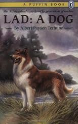 Lad: A Dog