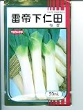 雷帝下仁田ねぎ　サカタのネギ種です