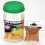 One Quart Glass Sprouter Jar w/ Sprouting Strainer Lid: Grow Sprouts: Includes 2 Oz. Organic Alfalfa Sprout Seeds & Sprouting Instructions