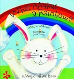 What Makes a Rainbow?: A Magic Ribbon Book