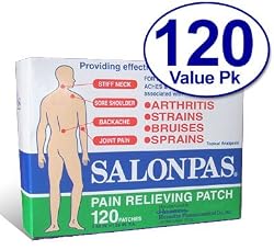Salonpas Pain Relieving Patch - 120 Patches