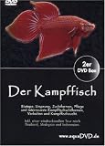 Eigenschaften LIMOX Produktion und Handel  / Der Kampffisch Zierfische Aquarienfische