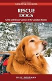 Rescue Dogs (Amazing Stories)